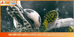 Tìm Hiểu Kèo Rung Là Gì Và Cách Chơi Tại Nền Tảng AU88