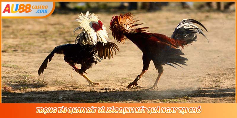 Trọng tài quan sát và xác định kết quả ngay tại chỗ